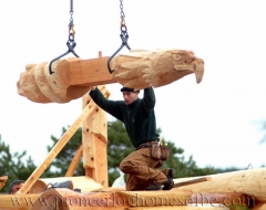 carving-bird-eagle-b - wood carving