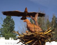 carving-bird-eagle-m - wood carving