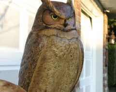 carving-bird-owl - wood carving