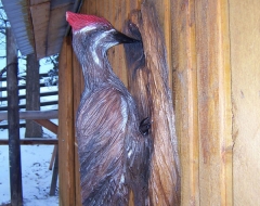 carving-bird-woodpecker - wood carving