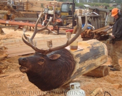 carving-elk - wood carving