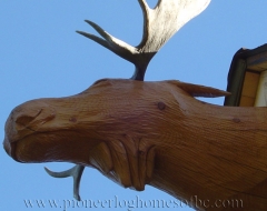 gaviota-de-carving-moose