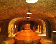 gaviota-za-wine-cellar
