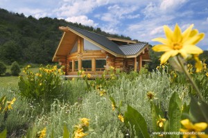 log homes